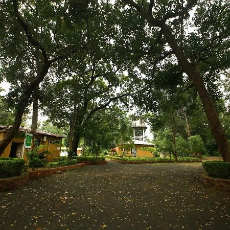 Mpt White Tiger Forest Lodge Tāla Dış mekan fotoğraf
