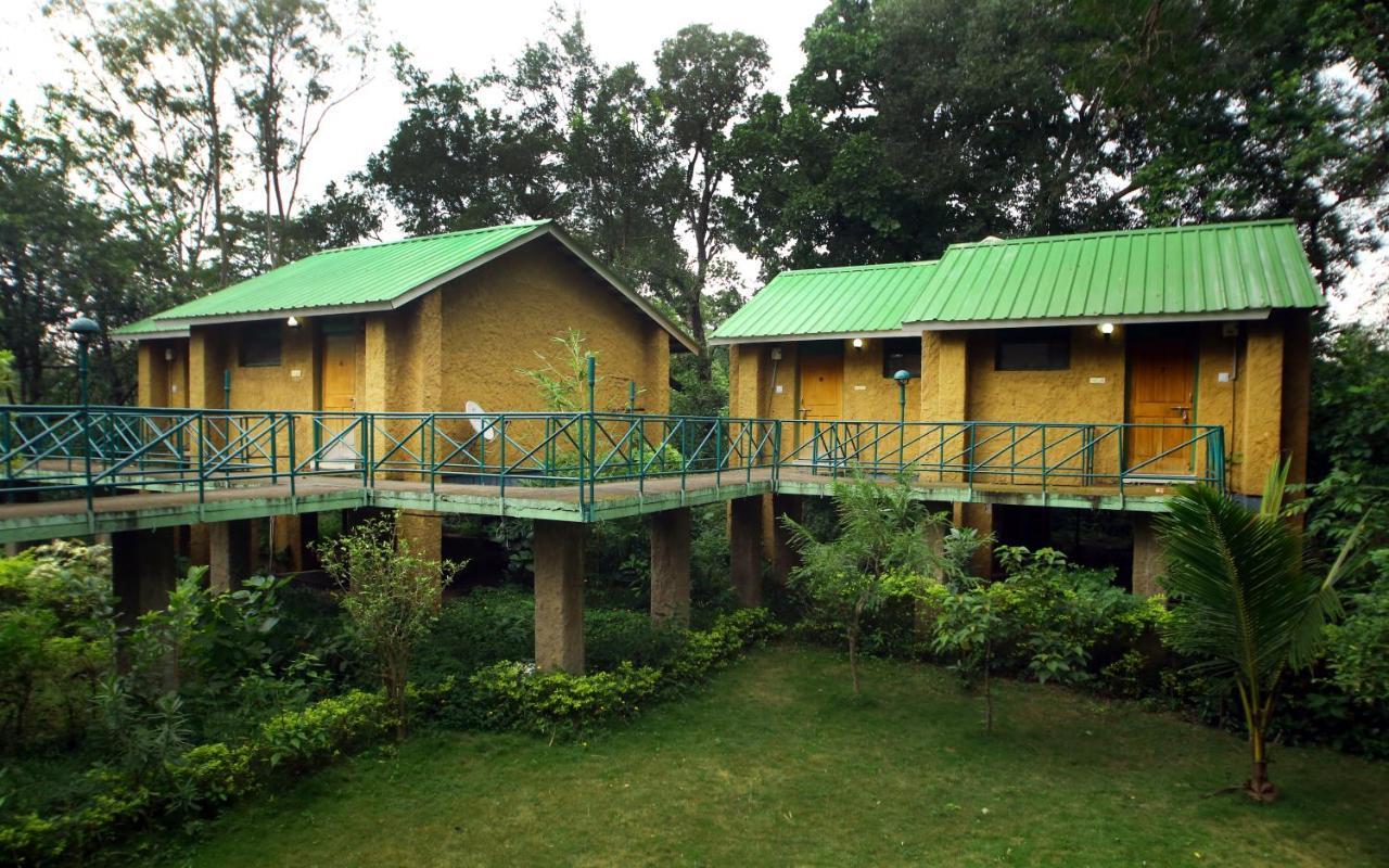 Mpt White Tiger Forest Lodge Tāla Dış mekan fotoğraf