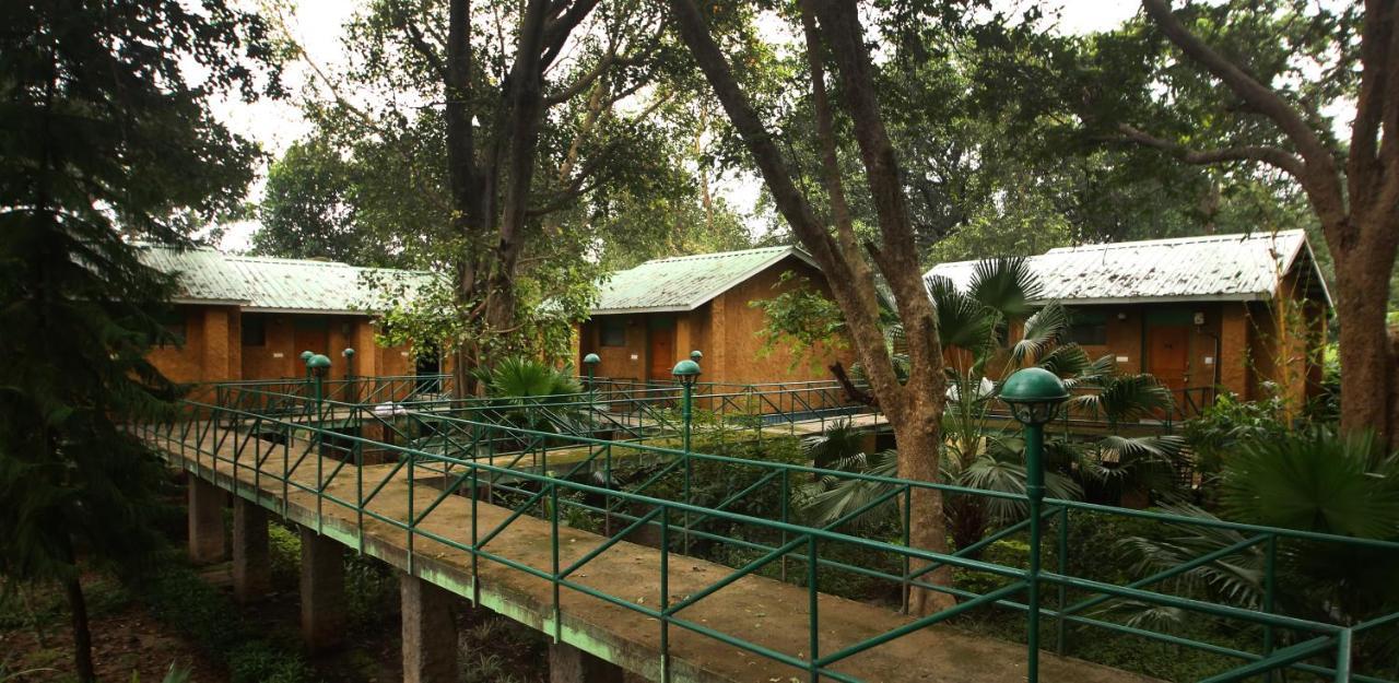 Mpt White Tiger Forest Lodge Tāla Dış mekan fotoğraf