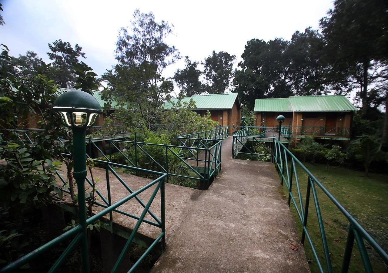 Mpt White Tiger Forest Lodge Tāla Dış mekan fotoğraf