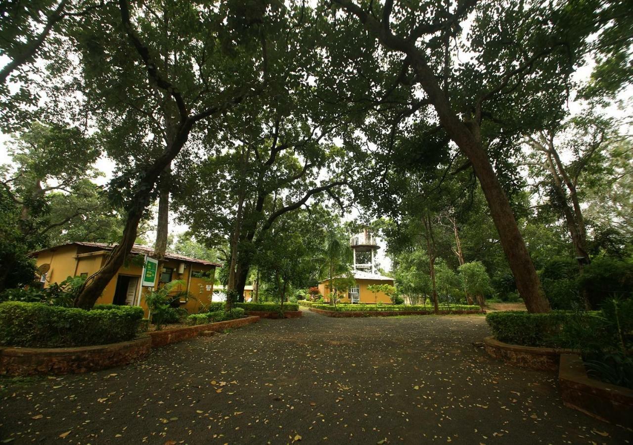 Mpt White Tiger Forest Lodge Tāla Dış mekan fotoğraf