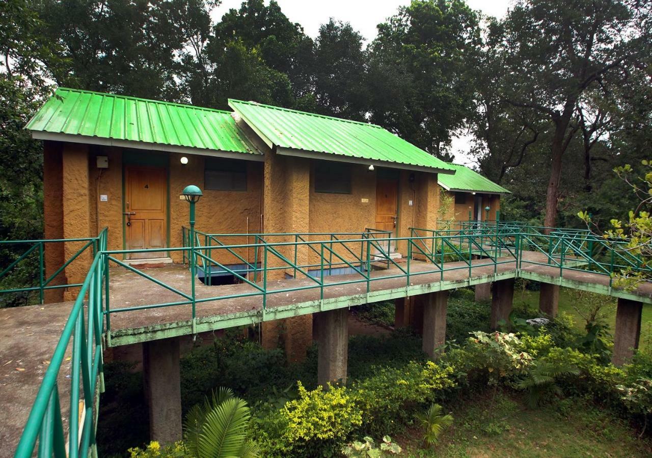 Mpt White Tiger Forest Lodge Tāla Dış mekan fotoğraf